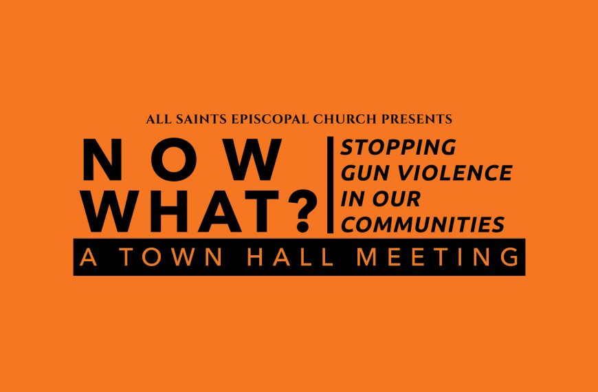 “Now What?” Stopping Gun Violence in Our Communities – A Town Hall Meeting